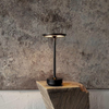 TURN TABLE LAMP